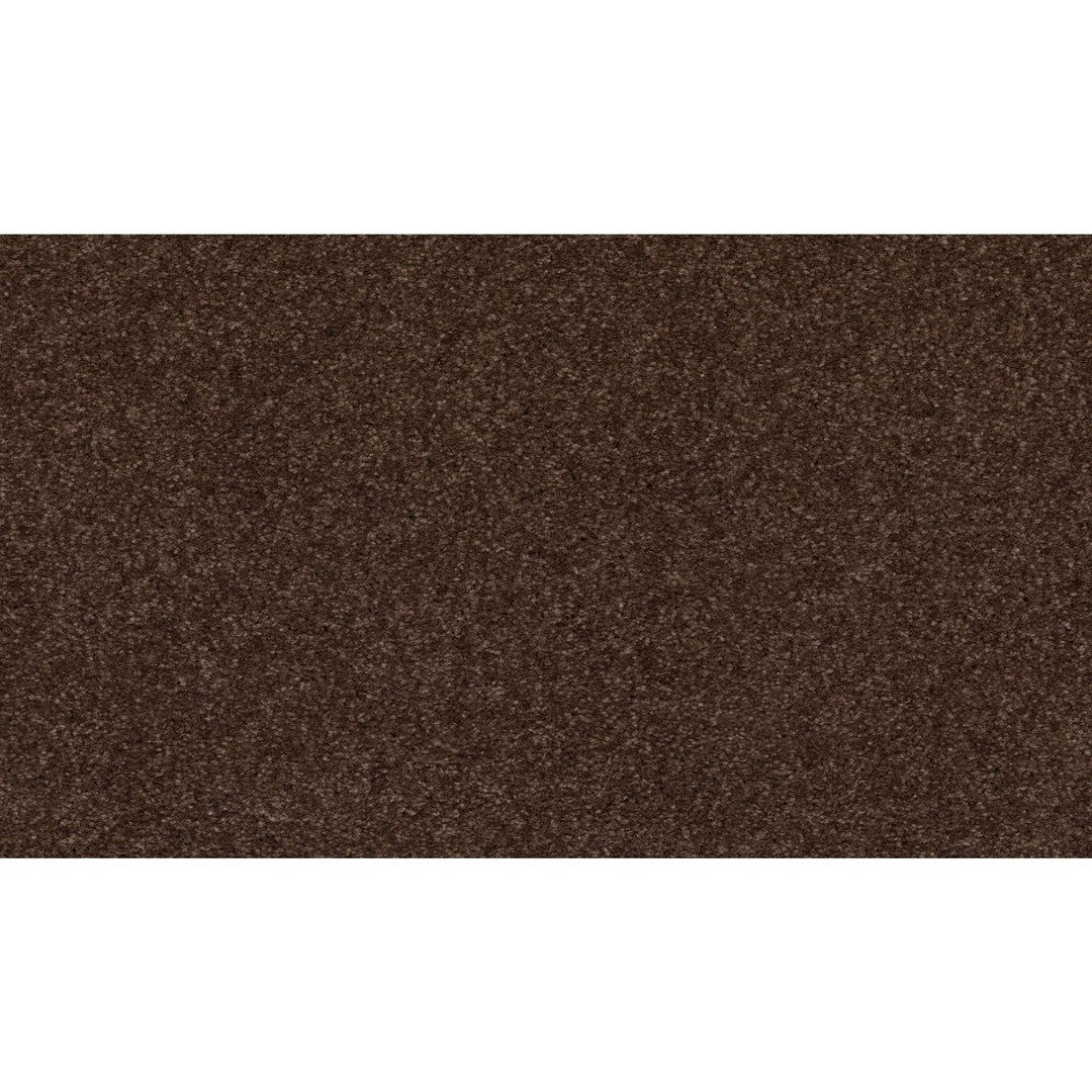 Radiant Surface in Dark Fudge
