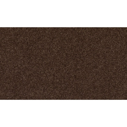 Radiant Tone in Dark Fudge