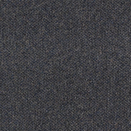 Pure & Simple-Qs