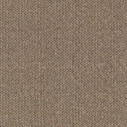 Pure & Simple-Qs