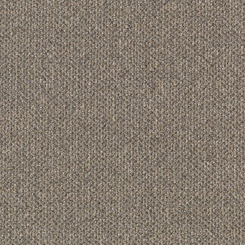 Pure & Simple-Qs