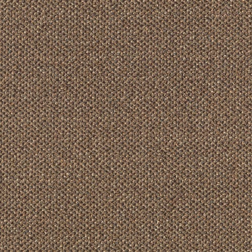 Pure & Simple-Qs