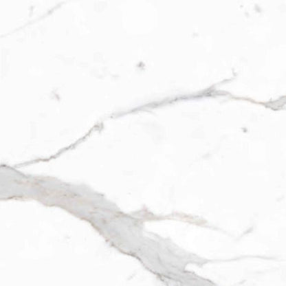 Marmi Classici in Bianco Calacatta - 24 X 24 Tile