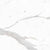 Marmi Classici in Bianco Calacatta - 24 X 48 Tile