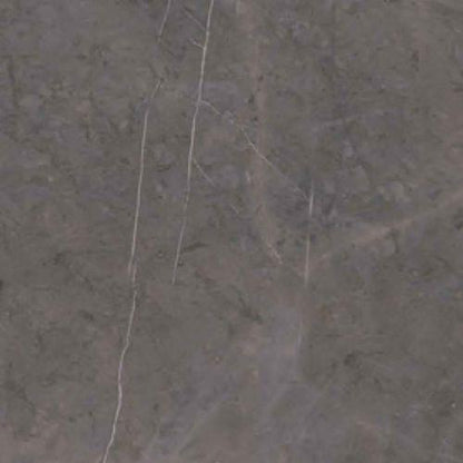 Marmi Classici in Grey Marble - 24 X 48 Tile