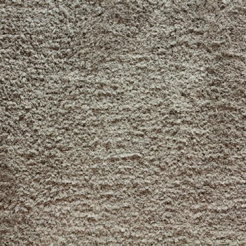 Avantgarde - Shaggy Posh in Mink Carpet