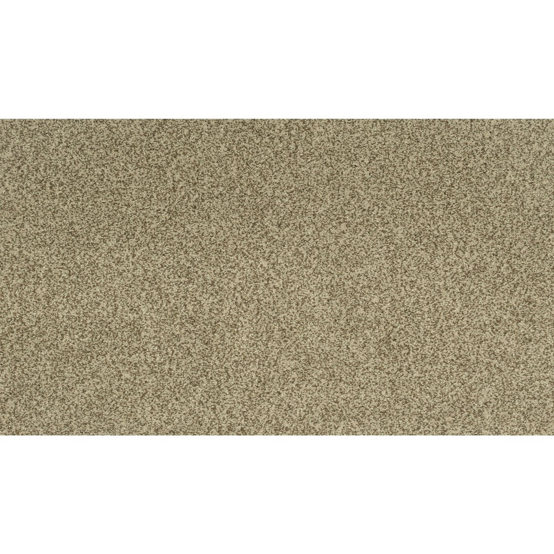 Modern Portfolio in Cuban Sand