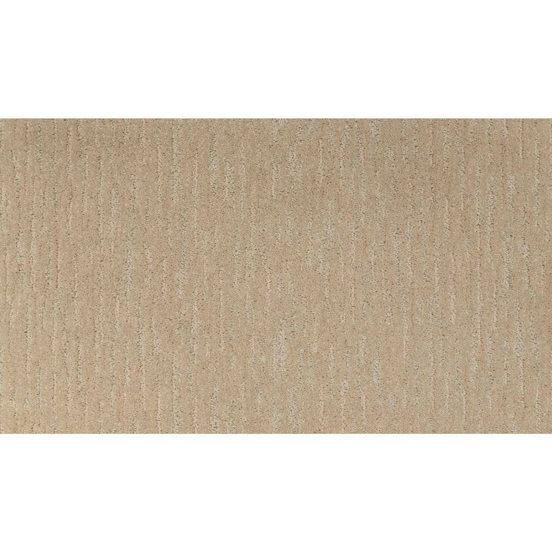 Enchanting Regard in Parchment
