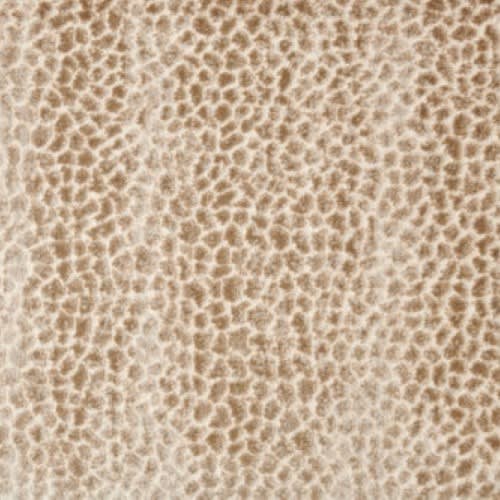 Allegory in Dune Carpet