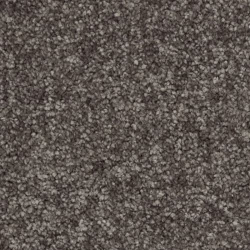 Nyluxe SDN - Webster SDN