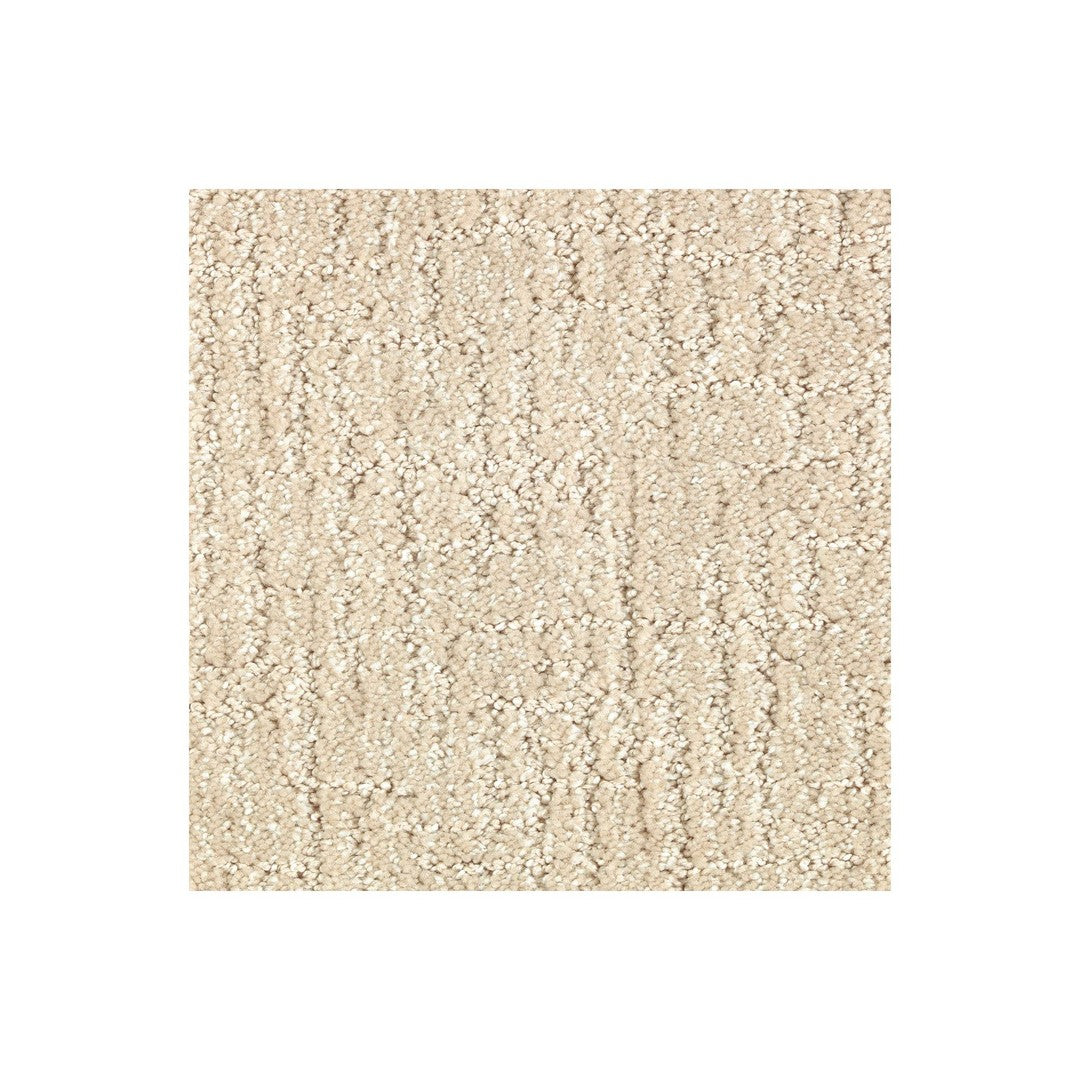 Carefree Nature in Sand Dollar