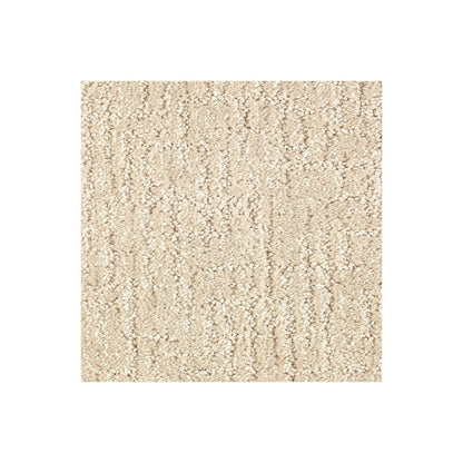 Carefree Nature in Sand Dollar