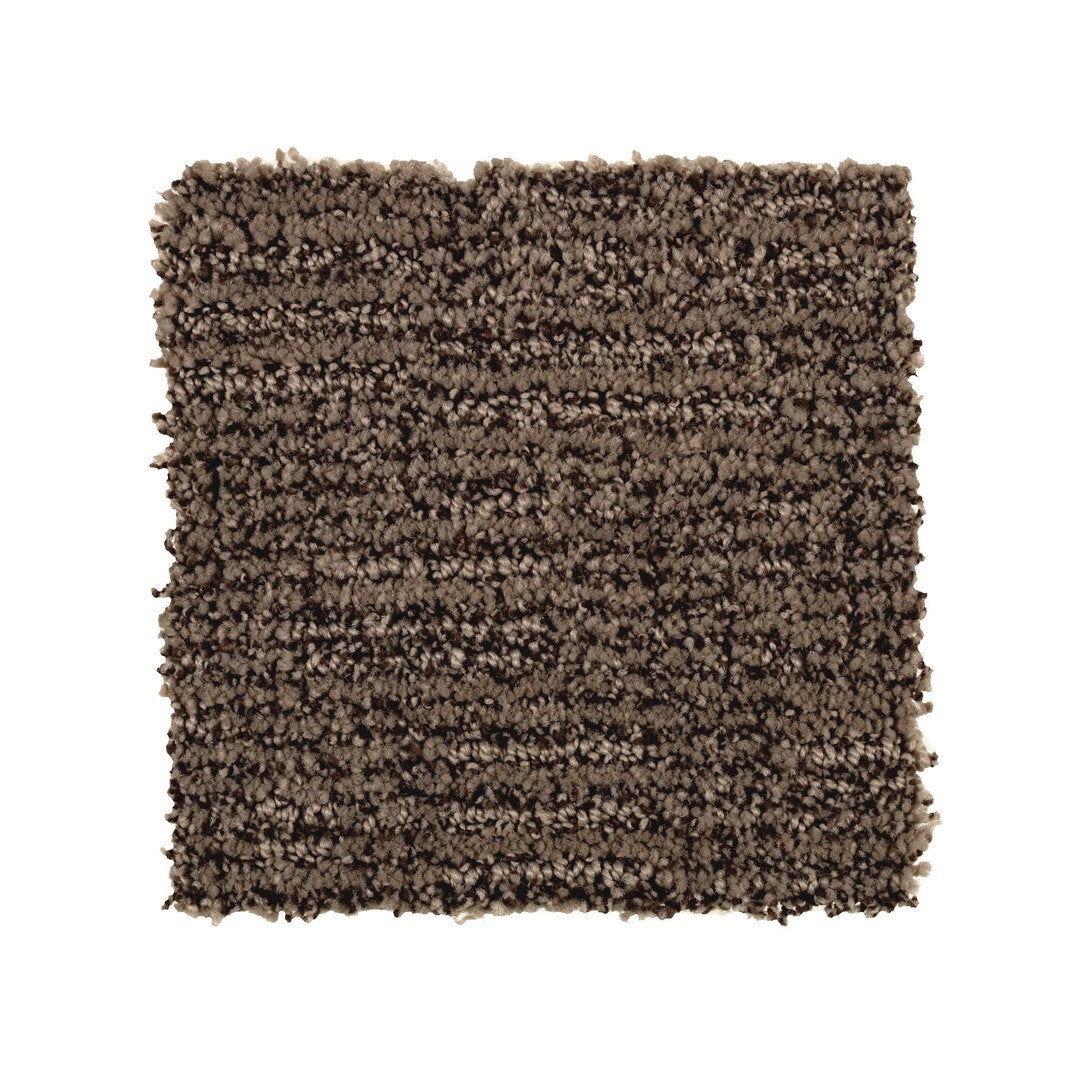 Urban Splendor in Dark Taupe