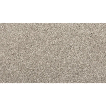 Radiant Tone in Oyster