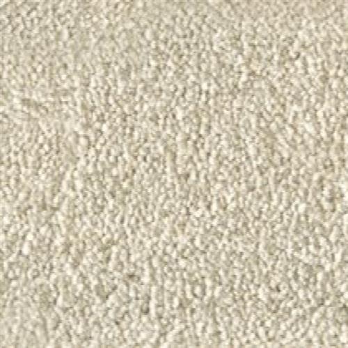 Atelier Marquee - Velveteen in Oyster