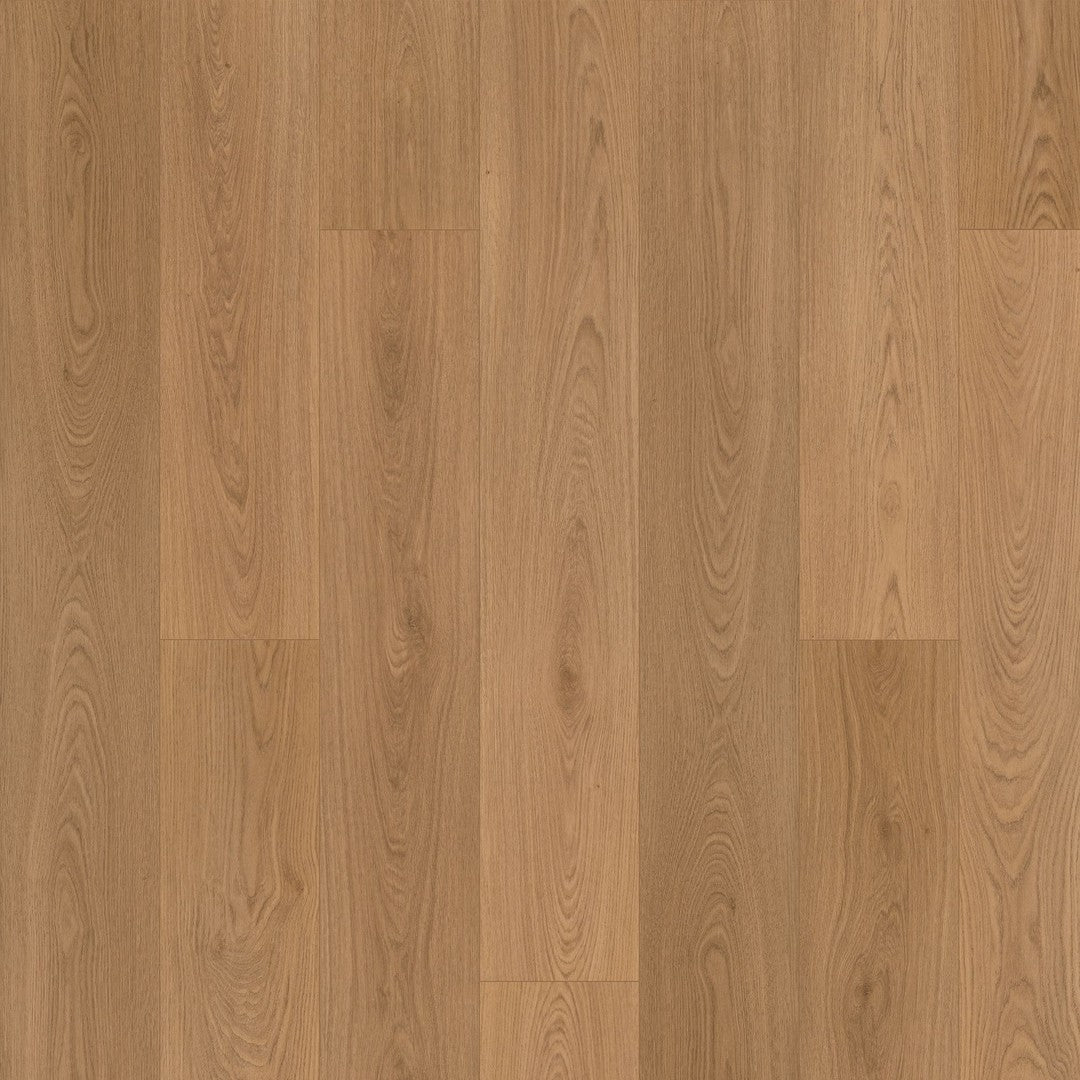 Summerhill Chase in Baylor 9"