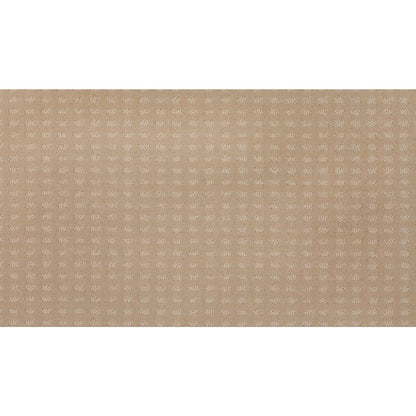 Popular Appearance in Persian Silk
