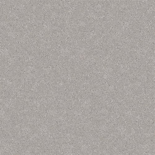 Nyluxe Petguard - Cloudscape