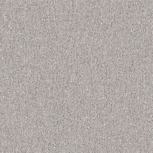 Nyluxe Petguard - Spiderweb