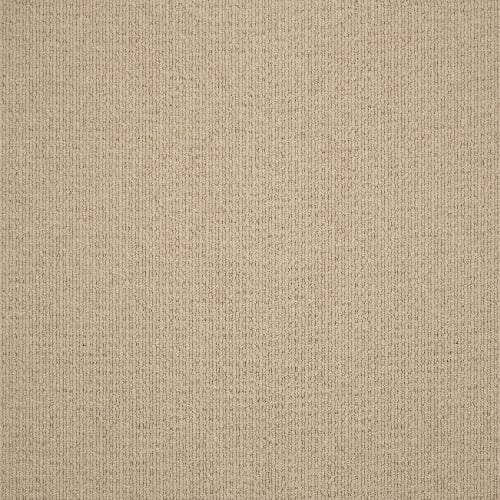 BISBEE in Oatmeal Carpet