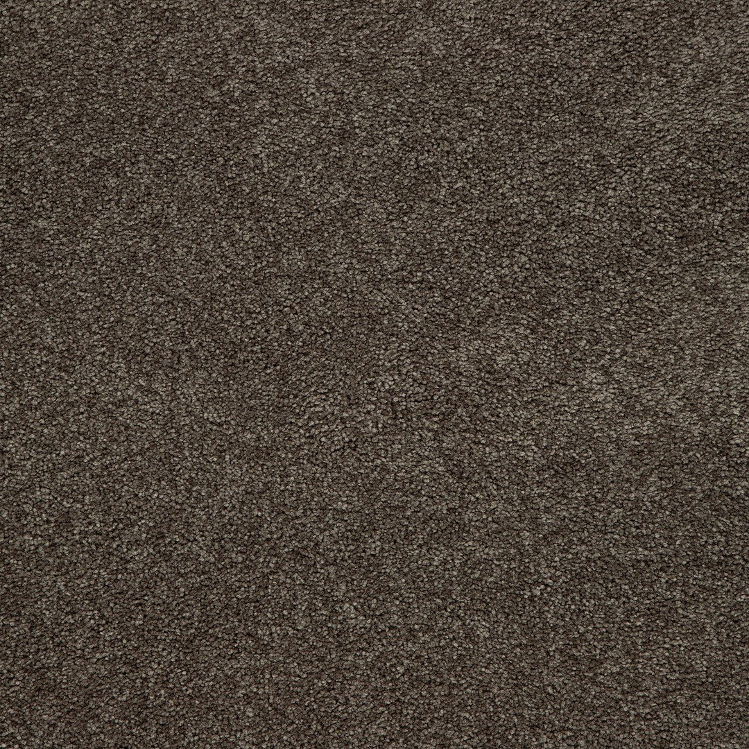 Captivating Style in Weathered Plank