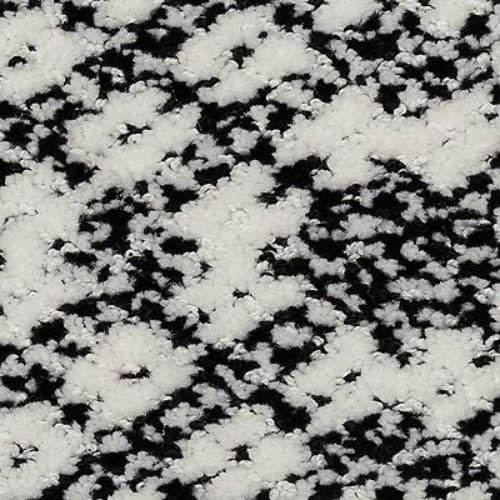 Bold Motif