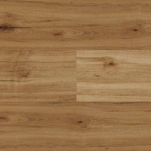 Artisan Elite in Hollybrook Maple