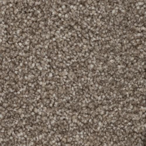Tryesse Pro - Calm Retreat in Burnt Leaf Carpet