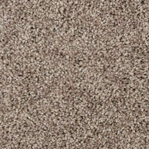 Tryesse Pro - Relaxing Getaway in Burnt Leaf Carpet