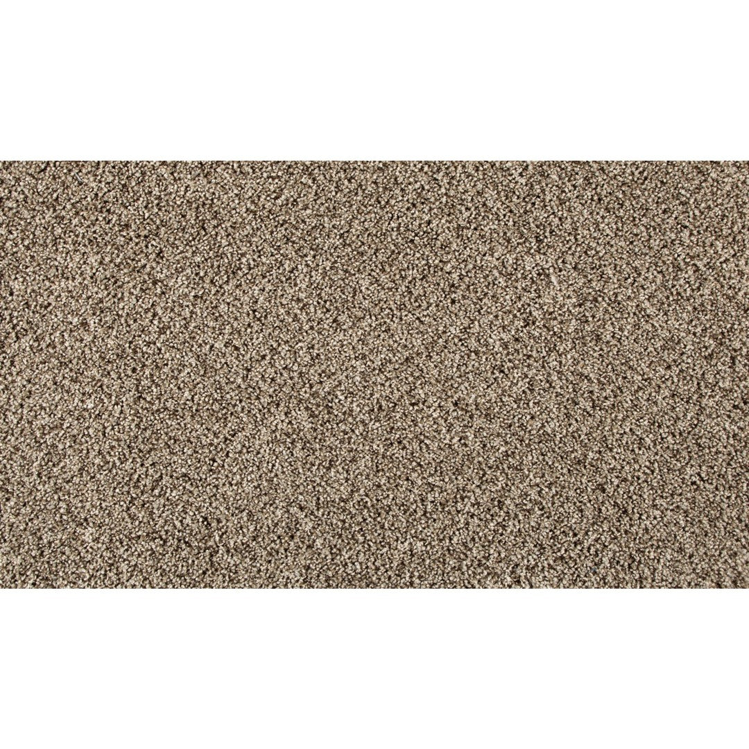 Essential Factors I in Shimmer Ash