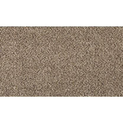 Essential Factors I in Shimmer Ash