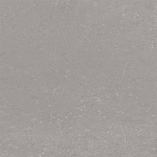 Cassini in Polvere - 12x24 Tile