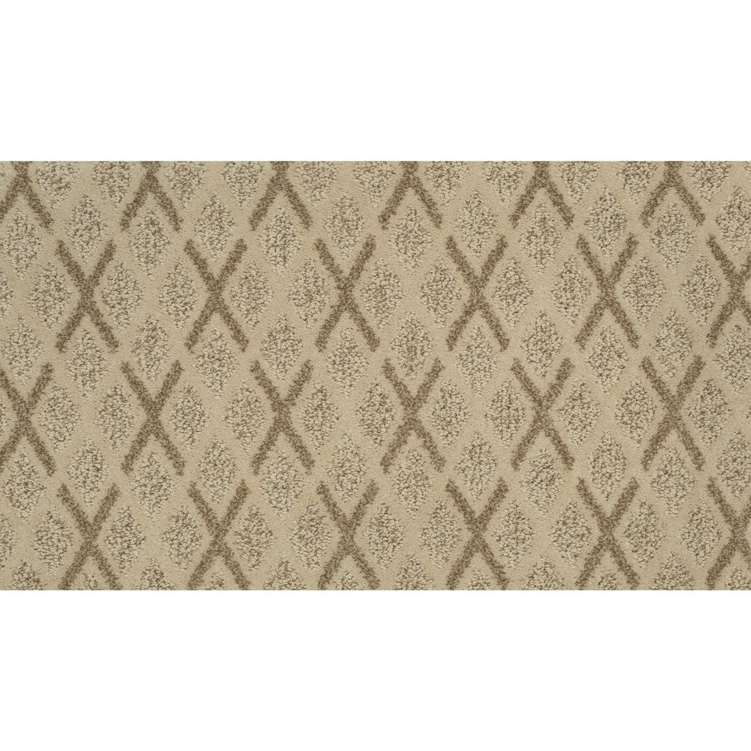 Dazzling Variety in Canvas