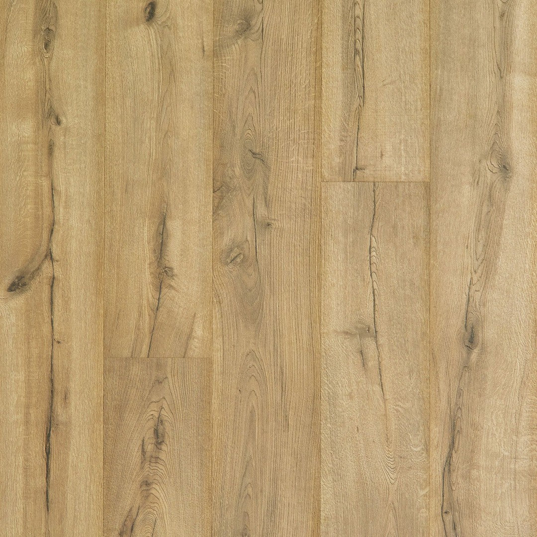 Castleshire in Cavalry Oak