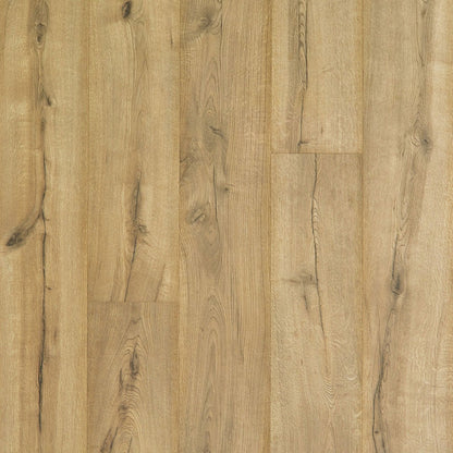 Castleshire in Cavalry Oak