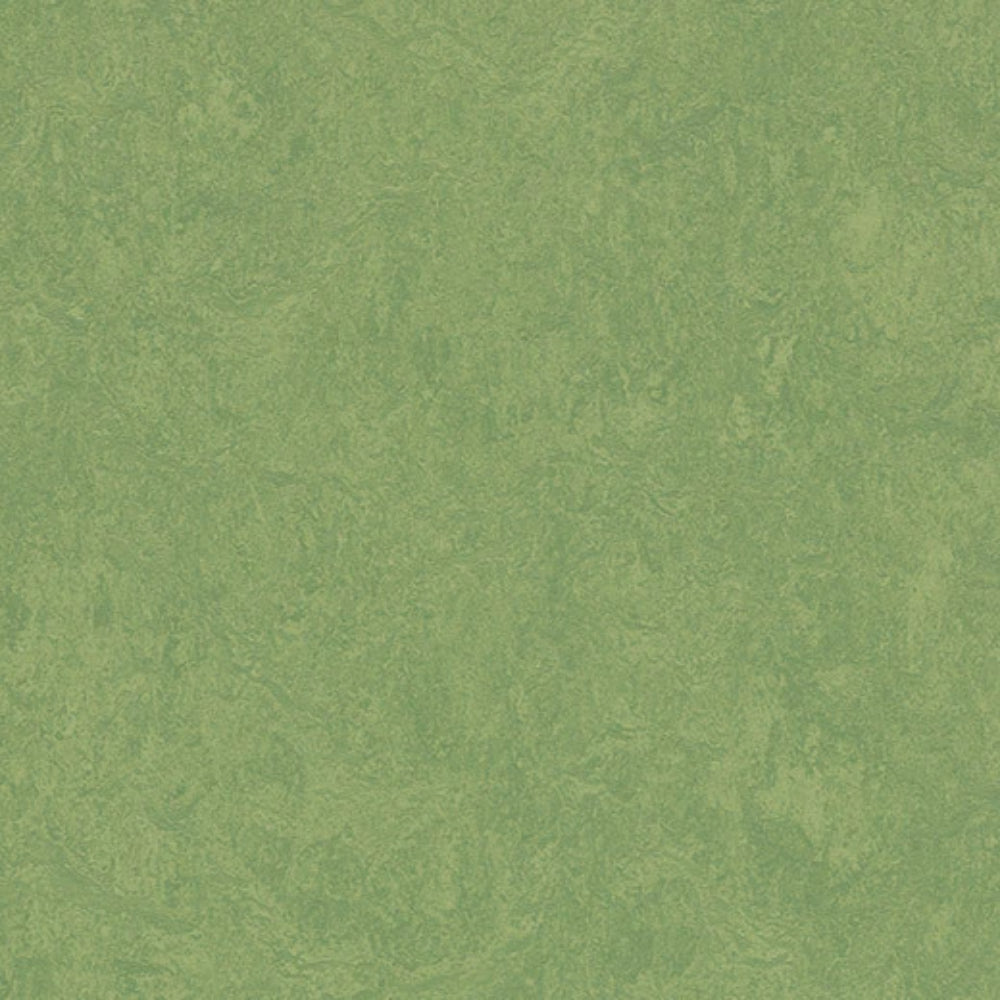 Marmoleum - Cinch Loc Seal in Leaf