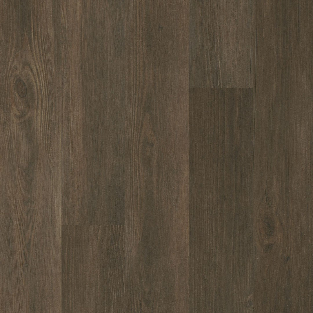 Caldwell in Forest Brown