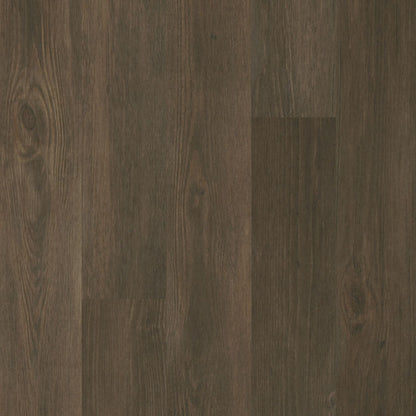 Caldwell in Forest Brown