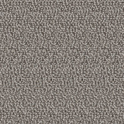 Nyluxe Petguard - Twill