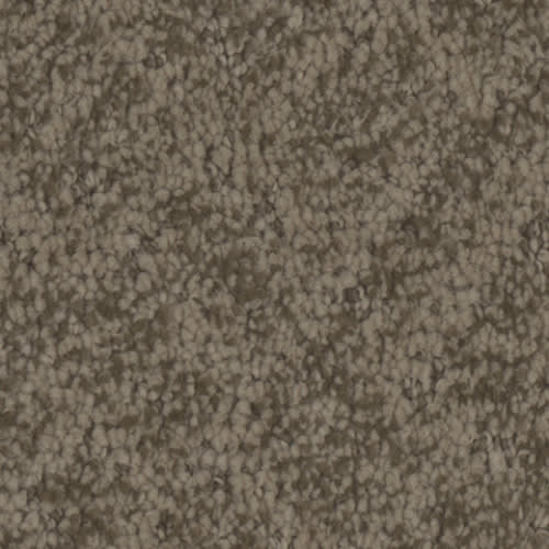 Cheshire in Historic Carpet