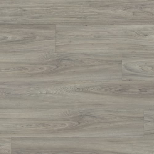 Atomic Xtra in Chromium Xtra Laminate