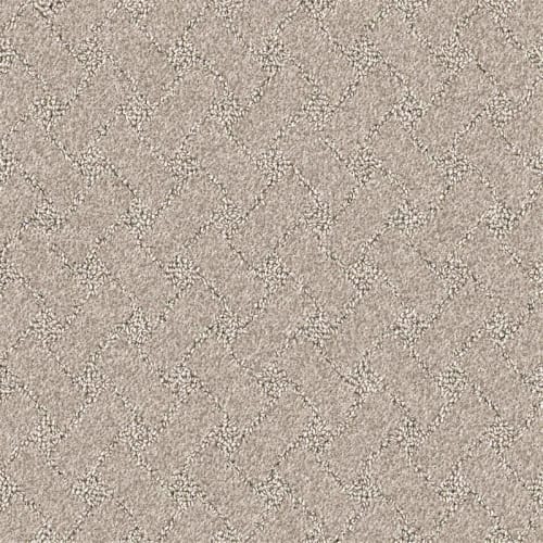 Nyluxe Petguard - Snowscape