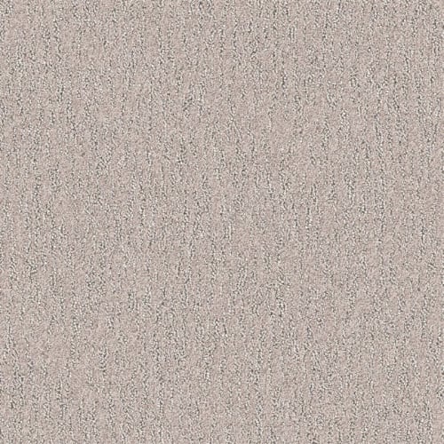 Nyluxe Petguard - Spiderweb