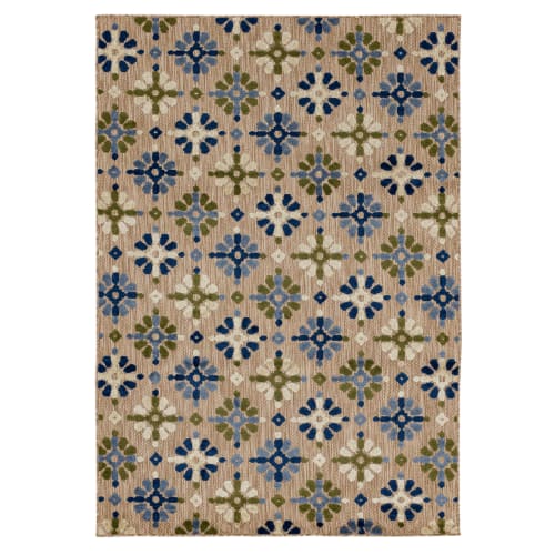 Cocoa Beach Multi in Multi Area Rugs