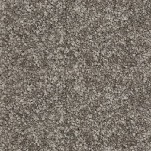 Nyluxe SDN - Stratford SDN in Comet Grey Carpet