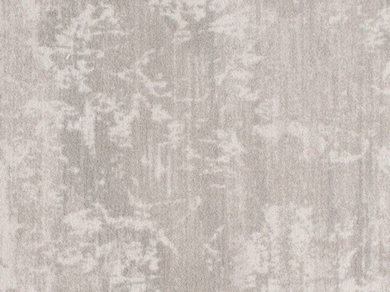 Imagine -  Cloud Bank in Birch Shadow