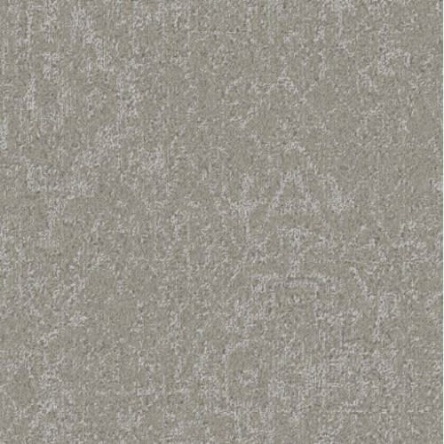 Cypress in Porcelain Carpet