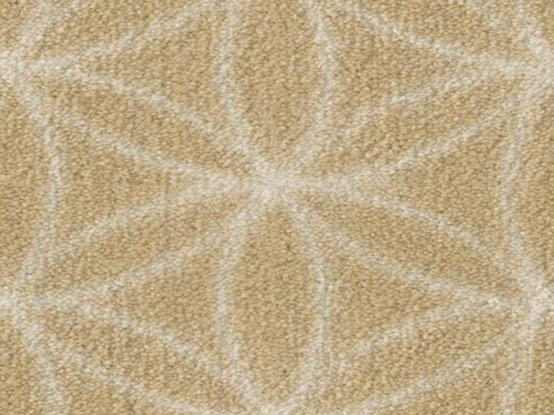 Imagine -  Eyelet in Buttercup