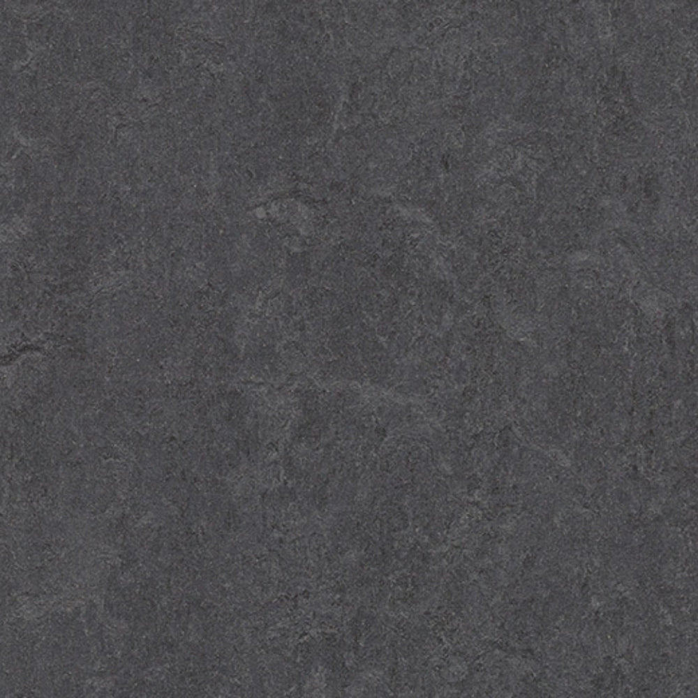 Marmoleum - Cinch Loc Seal in Volcanic Ash