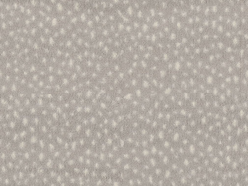 Imagine -  Exotic Escape - Dapple in Dapple Taupe